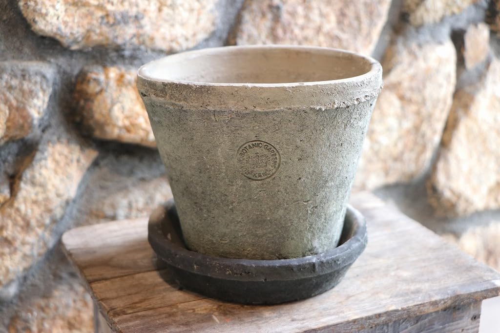 Amazon.co.jp: キューガーデン Kew Garden テラコッタ鉢 ランカ キュー